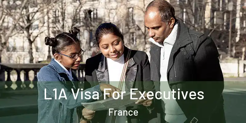 L1A Visa For Executives France
